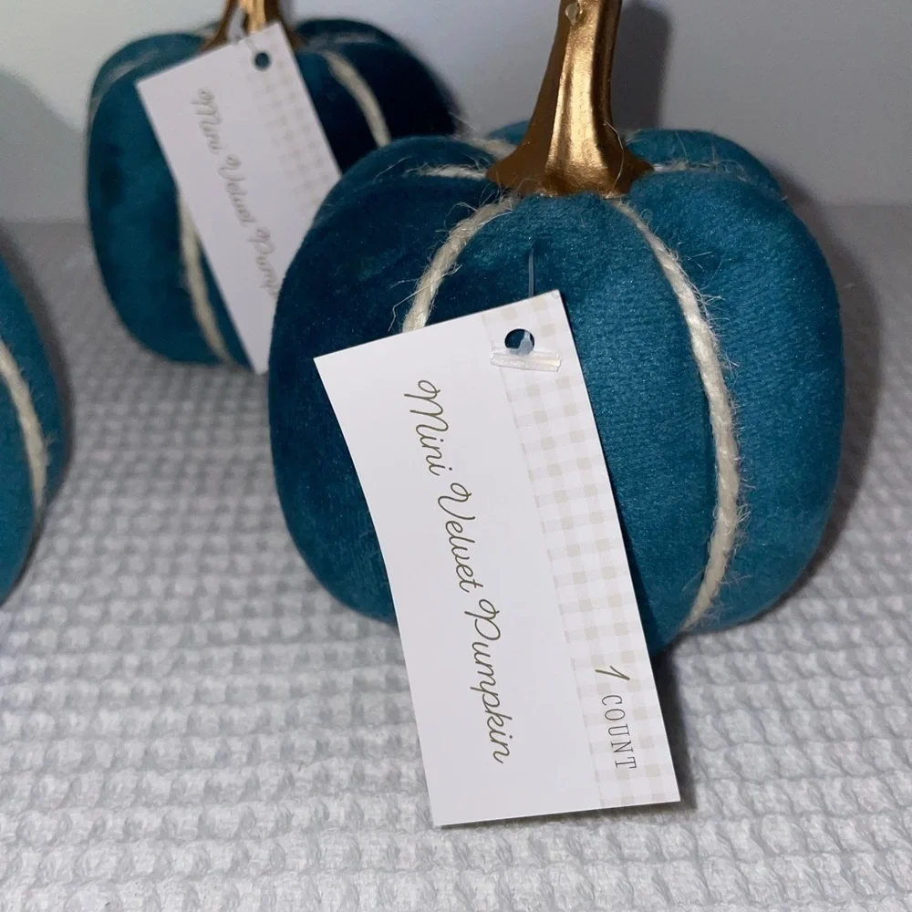 Mini velvet pumpkins - set of 4- target bullseye playground